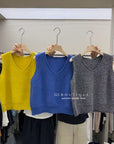 17a116 Basic V-neck cashmere knit vest